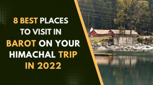 Visit In Barot On Himachal Trip